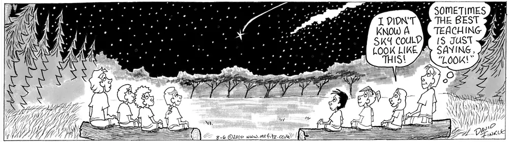 Mr. Fitz classroom comic - Teaching is to look, by David Lee Finkle